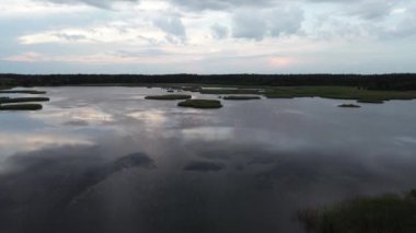 Orman ve göl yukarıdan