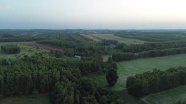 Yeşil alan kenarının İHA görüntüsü