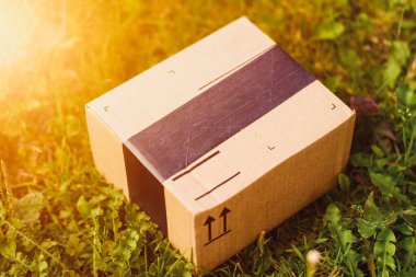 Kahverengi karton kutu.