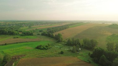 Alçak sis ve renkli ağaçlarla dolu bir sonbahar sabahı.