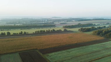 Tarım arazisi üzerine büyüleyici gün doğumu sisi