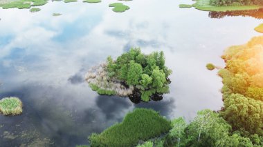 Aerial view of lake with tree island reflecting sky clipart