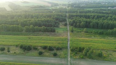 Yeşil alanda asfaltsız yolun hava görüntüsü.