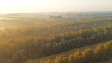 # Büyüleyici sonbahar sisi tarlalar ve ağaçlar üzerinde #