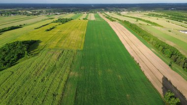 Drone kırsal araziyi altın saatinde yakalıyor, yeşil ve sarı tarlaları gösteriyor.