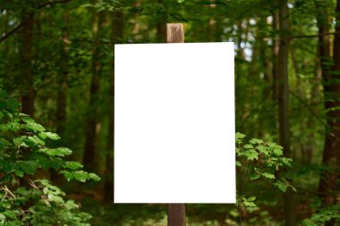Telif uzayı olan yeşil ormandaki tahta direğin üzerinde boş beyaz tabela