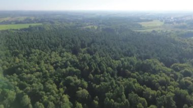 Bereketli orman tepe örtüsünün hava perspektifi