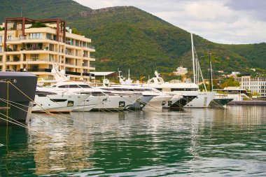 Limana demirlemiş lüks yatlar.