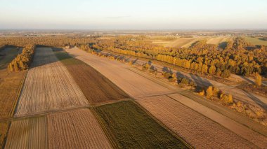 Sonbahar tarlaları ve ormanlarıyla doğal manzara