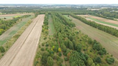 Gökten sonbahar manzarası