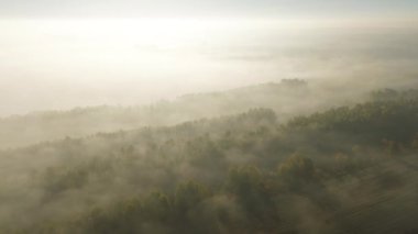Sis ve sabah ışığı ile hava sonbahar sahnesi
