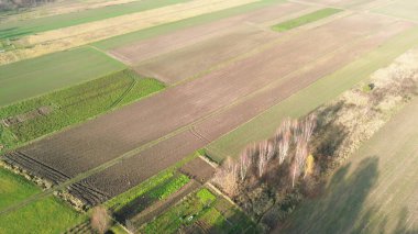 Yeşil alanlar ve ağaçlar hava fotoğrafçılığı