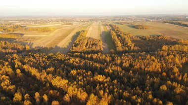 Hava manzaralı sonbahar ormanı ve tarlası