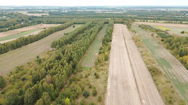 Hava tarlaları ve orman kırsal manzarası