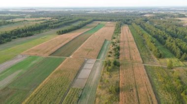 Yeşil tarım arazisi olan havacılık manzarası