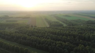 Renkli sonbahar ormanı ve tarlaları üzerinde gün doğumu sisi