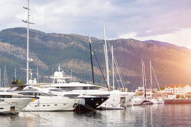 Güzel limana yanaşmış lüks yatlar.