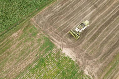 Tarım makineleri tarım arazilerinde mahsul topluyor.