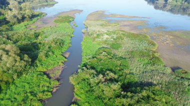 Nehir canlı yeşil ormanı kesiyor.