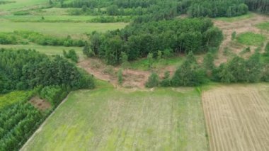 Bereketli yeşil ormanın insansız hava aracı görüntüsü ormanların tahrip edilmesi nedeniyle temizlenmiş topraklarla çelişiyor.