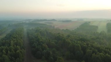 Yeşil kırsal alanda puslu sabah güneşi