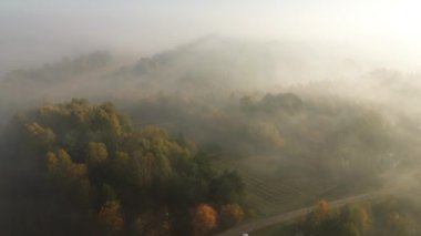Güneşin doğuşunda sisli sonbahar ormanının havadan görünüşü