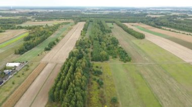 Sonbahar kırsalının havadan görünüşü