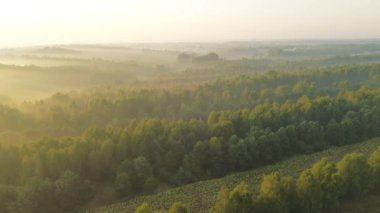 Sonbahar renkleriyle sisli kırların hava görüntüsü