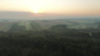 Güneşli sis kırsal alanlarda ve çayırlarda şafakta
