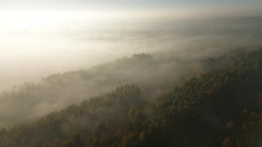 Güneşin doğuşunda sisli sonbahar tarlaları ve ormanlar