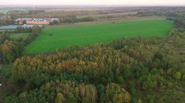 Yeşil alan ve sonbahar havası