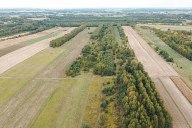 Yeşil tarlalı sonbahar manzarası
