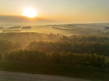 Sonbahar kırsalını kaplayan sabah sisi