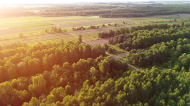 Yaz tarlaları ve ormanlar altın saat günbatımıyla aydınlandı.