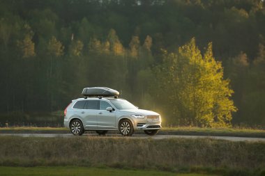 Güneşli orman yolunda çatı kutusu aracı.