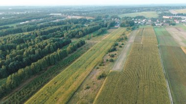 Orman ve tarım arazilerinin havadan görünüşü