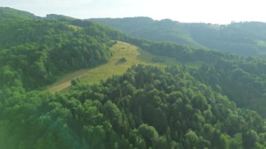 Dağlardaki orman parkı