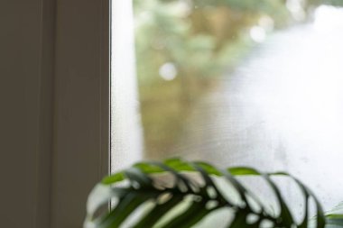 Pencere camında su damlacıkları oluşuyor