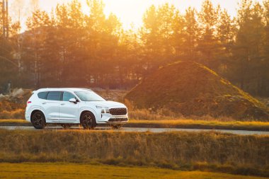 Aile arabası manzaralı yolda gidiyor.