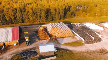 Kırsal kesimdeki inekler için saman balyaları ve bitki yetiştirme deposu