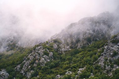 Sis kaplı zirveler dingin göl üzerinde yükseliyor