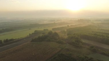 Bereketli yeşil orman manzarasında sisli gün doğumu