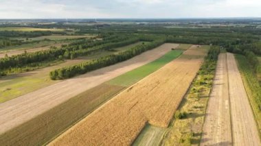 Sonbaharda kırsal alanların hava görüntüsü