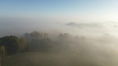 Sonbahar ağaçlarını ve tarlaları şafakta kaplayan alçak bulutlar