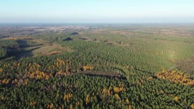 Sonbaharda renkli yaprakları olan ormanlık tepeler