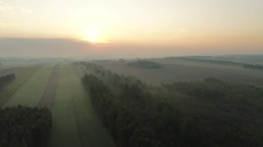 Canlı kırsal alanda nemli, sisli bir sabah.
