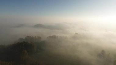 Sonbahar ormanındaki sis ve bulutların havadan görünüşü. Ormanda sabah sisi. İHA görüntüsü. İnsansız hava aracı görüntüsü. Sabah oldu.