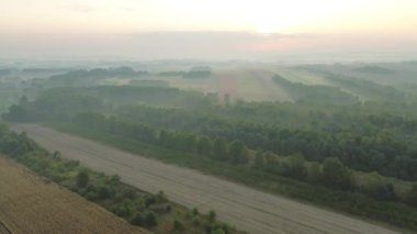 Sabah sisi ve yeşil tarlaları olan kırsal alan