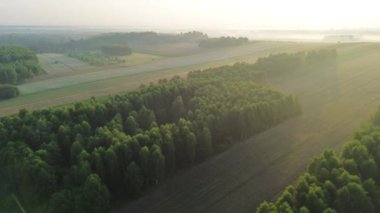 Güneşin doğuşunda ağaçlar ve tepelerle kaplı sis kaplı kırlarda