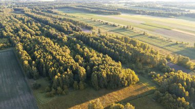 Kırsal kesimde yaz mevsiminde günbatımı ve ormanlar